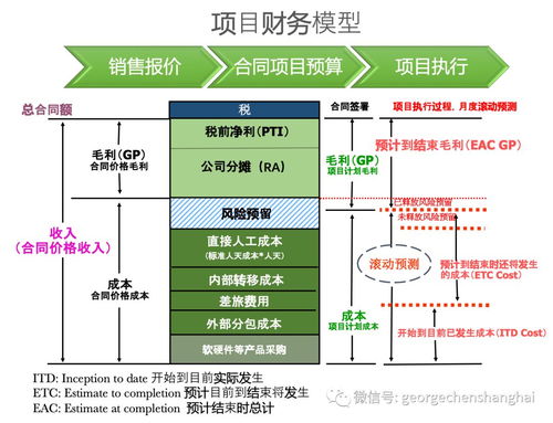開票無關型專業服務項目公司運營管理體系 流程、財務管理與IT系統及信息系統運維服務